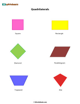 Quadrilaterals Chart