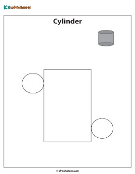 Net of a Cylinder | Chart