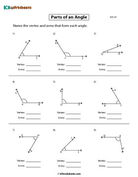 Naming the Vertex and Arms - Level 1 - 1