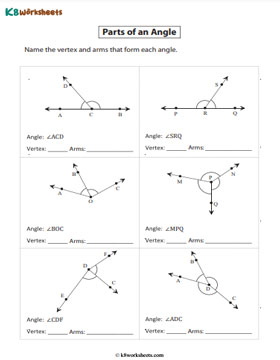 Naming the Vertex and Arms - Level 2