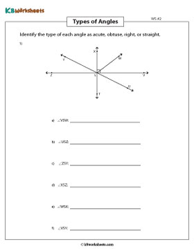 Identifying Types of Indicated Angles 2