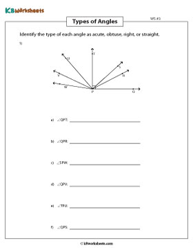 Identifying Types of Indicated Angles 3