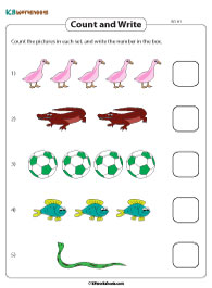 Counting and Writing Numbers to 5