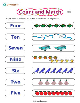 Counting and Matching 3