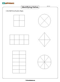 Halves, Thirds, and Fourths