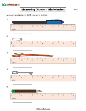 Measuring Objects Using Rulers | Whole inches 1