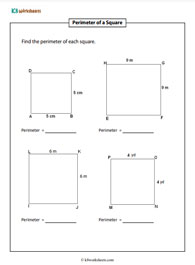 Perimeter of a Square