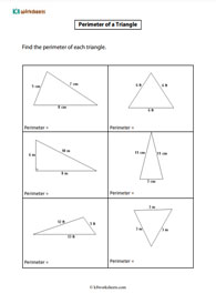 Perimeter of a Triangle