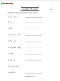 Classifying Polynomials