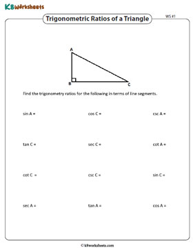 Trigonometric Ratios | Sides 1